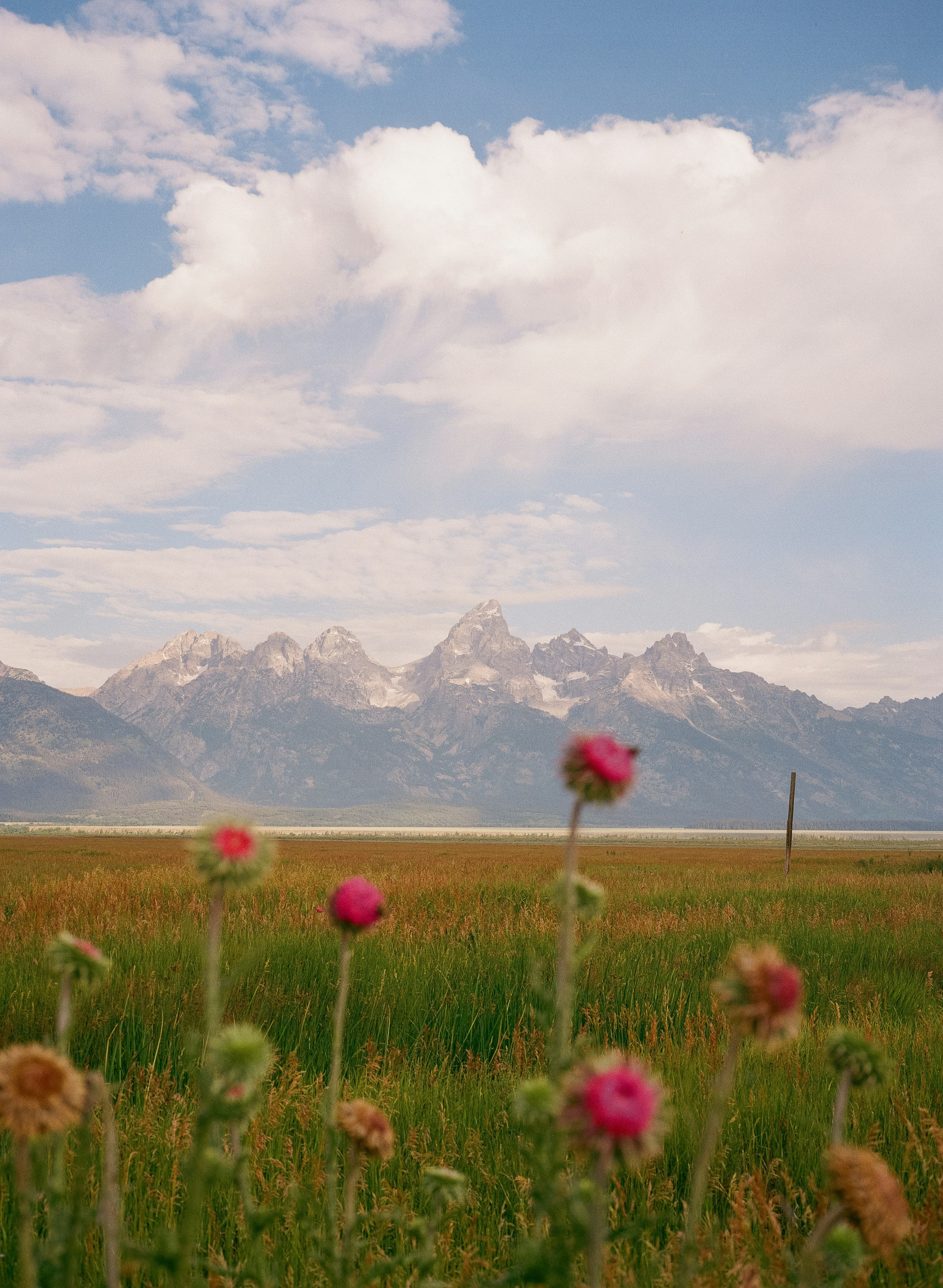 Facing Miscarriage at Home: What to Expect and How to Prepare