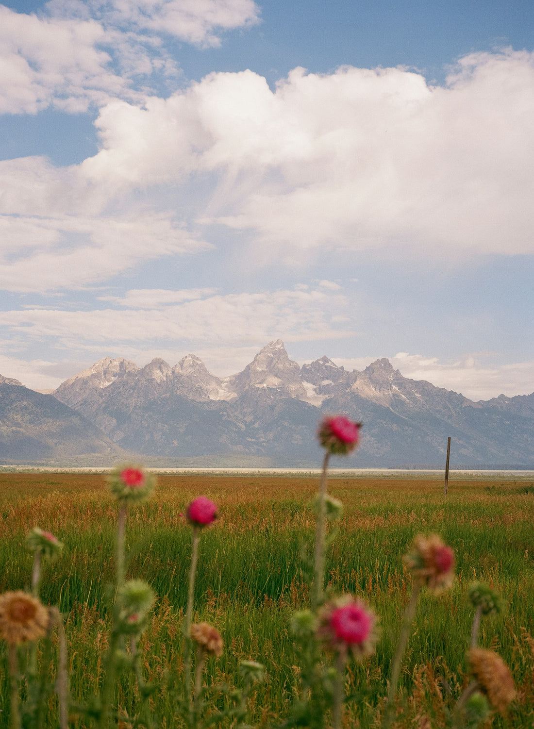 Facing Miscarriage at Home: What to Expect and How to Prepare